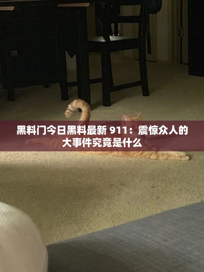 黑料门今日黑料最新 911：震惊众人的大事件究竟是什么