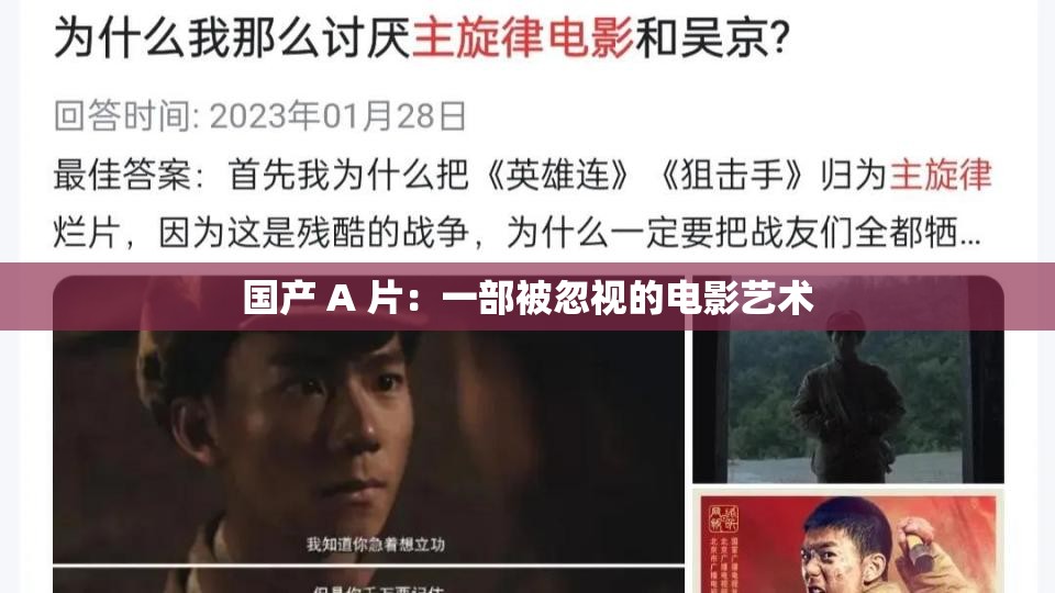 国产 A 片：一部被忽视的电影艺术