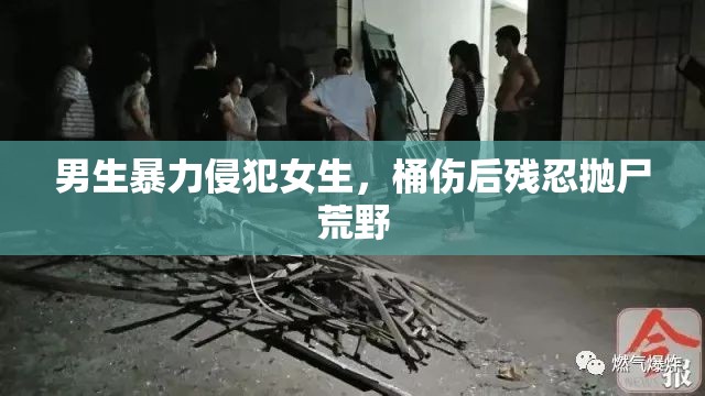 男生暴力侵犯女生，桶伤后残忍抛尸荒野
