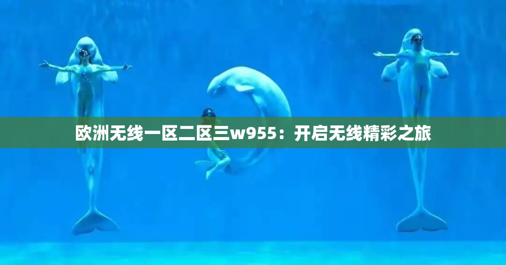 欧洲无线一区二区三w955：开启无线精彩之旅