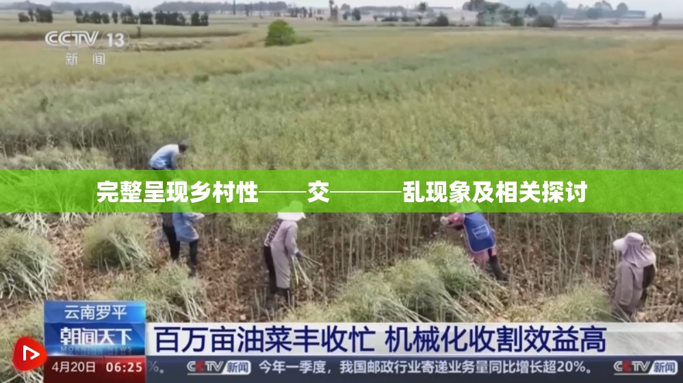 完整呈现乡村性──交───乱现象及相关探讨