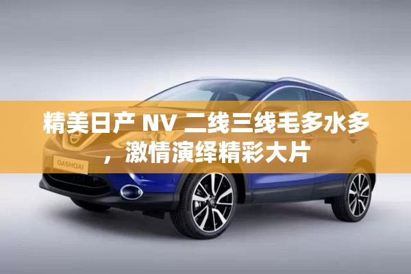 精美日产 NV 二线三线毛多水多，激情演绎精彩大片
