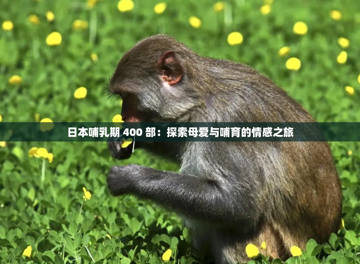 日本哺乳期 400 部：探索母爱与哺育的情感之旅