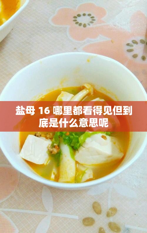 盐母 16 哪里都看得见但到底是什么意思呢