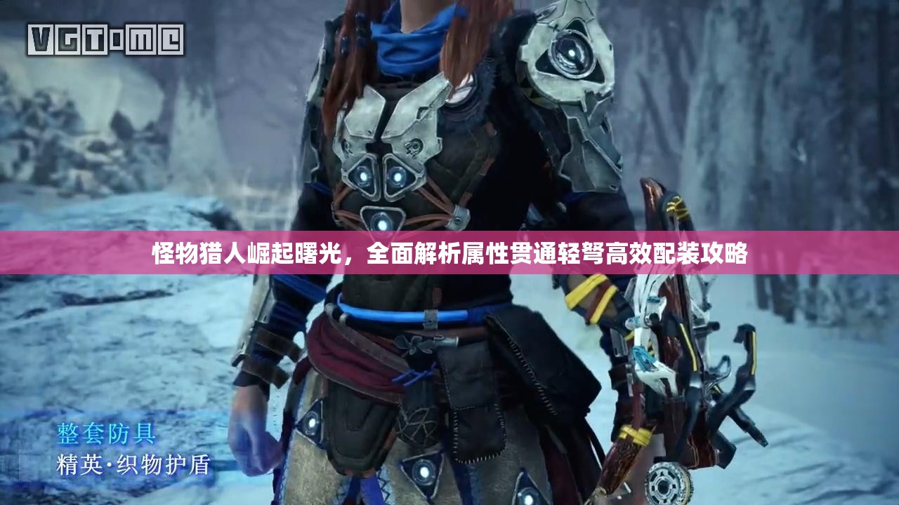 怪物猎人崛起曙光，全面解析属性贯通轻弩高效配装攻略