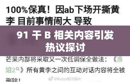 91 干 B 相关内容引发热议探讨