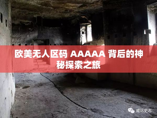 欧美无人区码 AAAAA 背后的神秘探索之旅