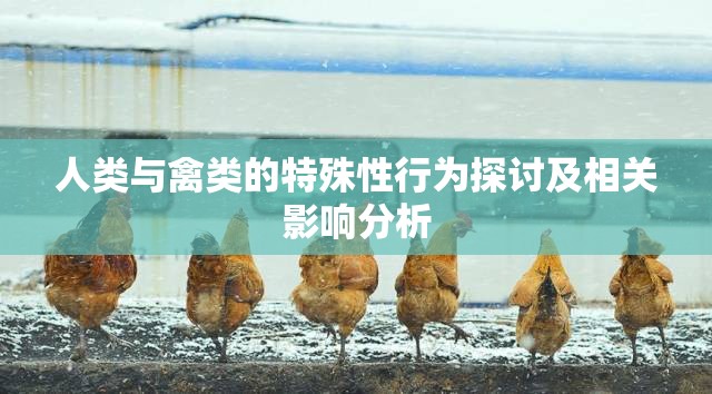 人类与禽类的特殊性行为探讨及相关影响分析