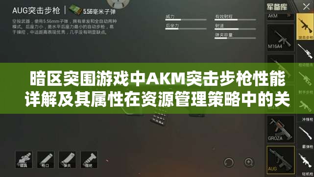 暗区突围游戏中AKM突击步枪性能详解及其属性在资源管理策略中的关键作用