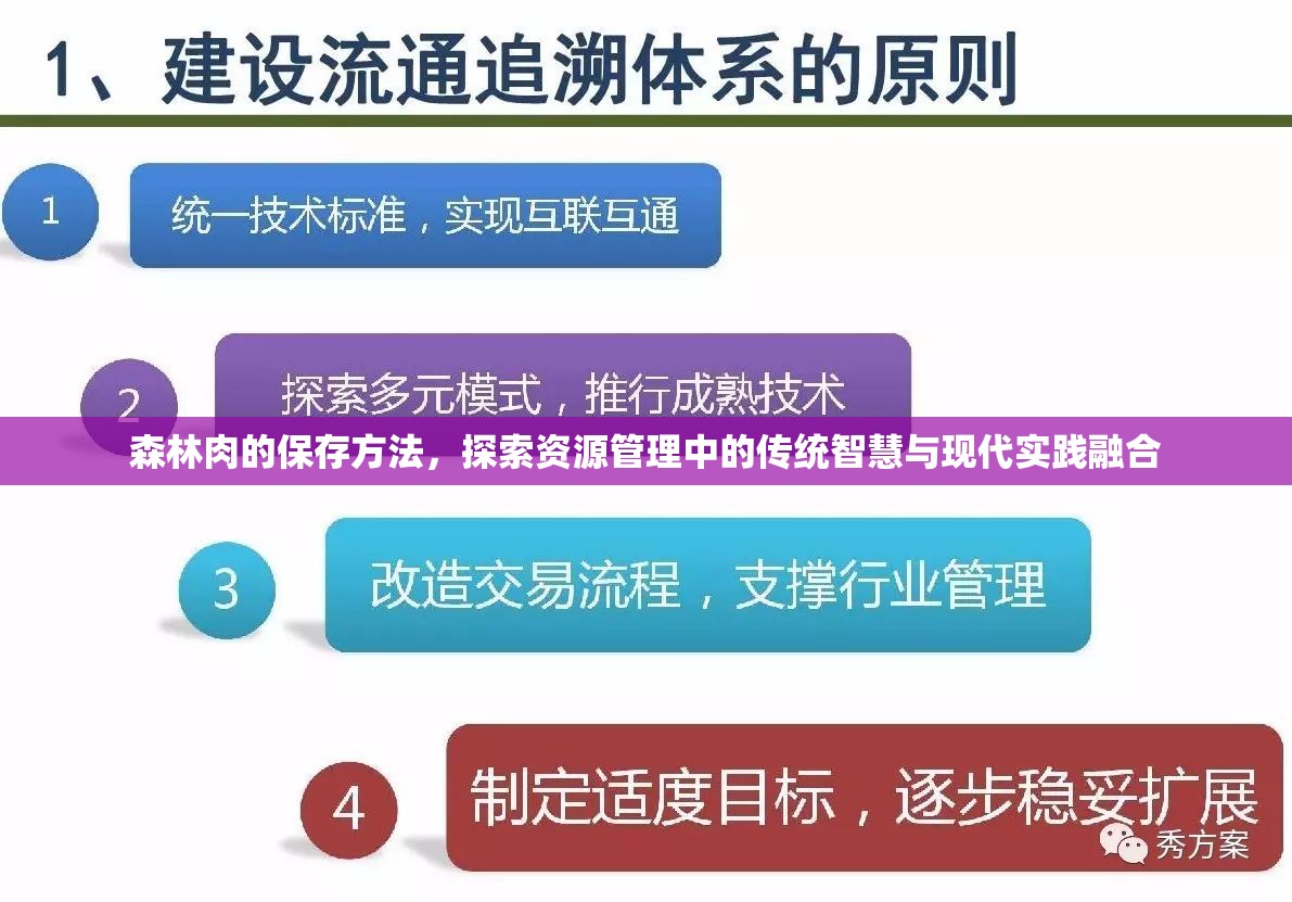 森林肉的保存方法，探索资源管理中的传统智慧与现代实践融合