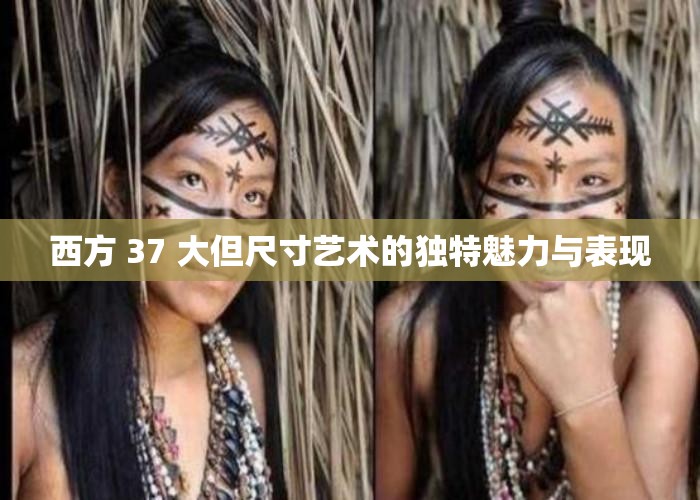 西方 37 大但尺寸艺术的独特魅力与表现