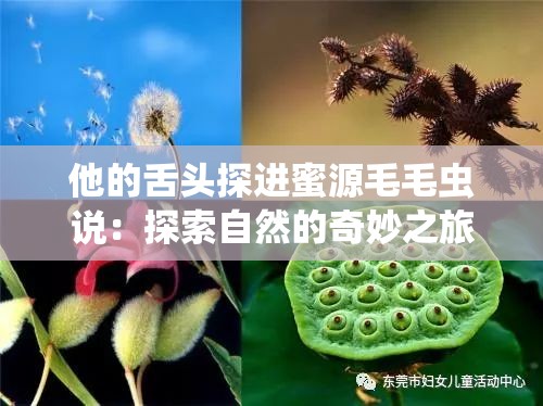 他的舌头探进蜜源毛毛虫说：探索自然的奇妙之旅