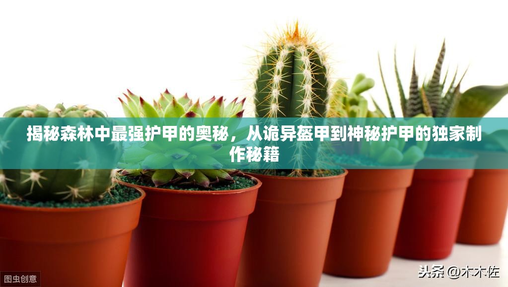 揭秘森林中最强护甲的奥秘，从诡异盔甲到神秘护甲的独家制作秘籍