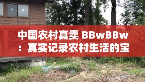 中国农村真卖 BBwBBw：真实记录农村生活的宝贵窗口