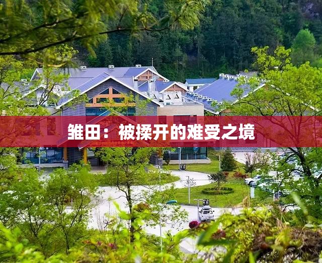 雏田：被揉开的难受之境