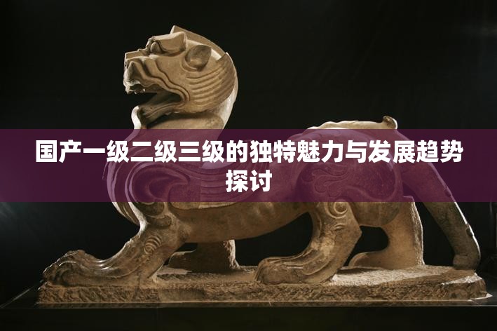 国产一级二级三级的独特魅力与发展趋势探讨