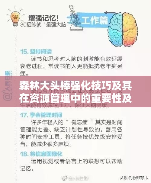 森林大头棒强化技巧及其在资源管理中的重要性及实施高效策略解析