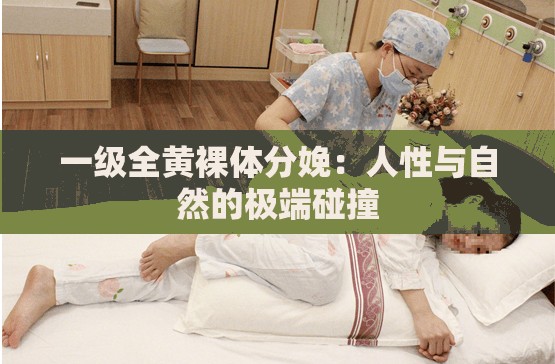 一级全黄裸体分娩：人性与自然的极端碰撞
