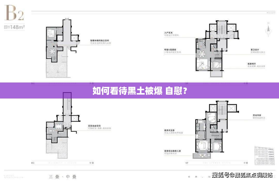如何看待黑土被爆 自慰？