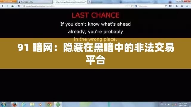 91 暗网：隐藏在黑暗中的非法交易平台