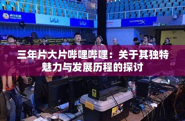 三年片大片哔哩哔哩：关于其独特魅力与发展历程的探讨
