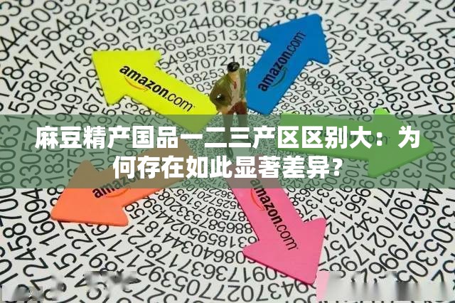 麻豆精产国品一二三产区区别大：为何存在如此显著差异？