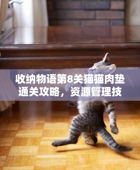 收纳物语第8关猫猫肉垫通关攻略，资源管理技巧与策略全面解析
