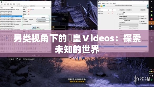 另类视角下的嘼皇Ⅴideos：探索未知的世界