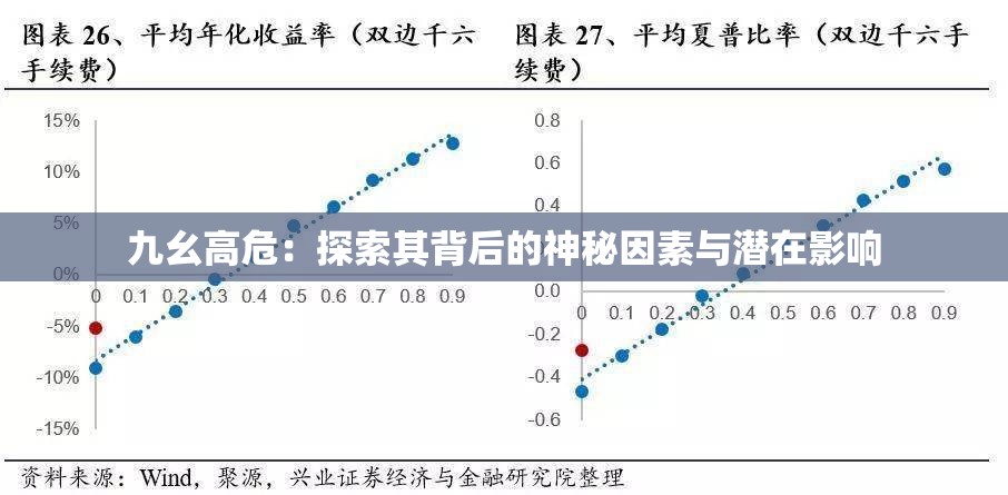 九幺高危：探索其背后的神秘因素与潜在影响