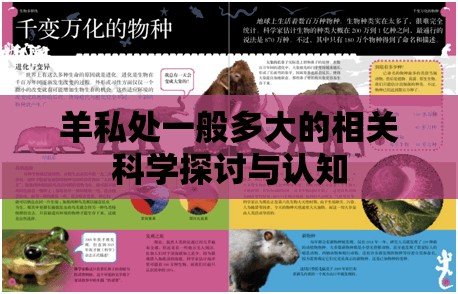 羊私处一般多大的相关科学探讨与认知