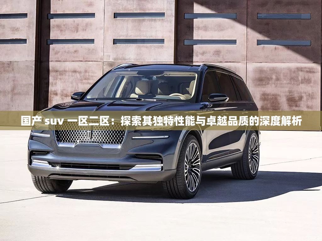 国产 suv 一区二区：探索其独特性能与卓越品质的深度解析