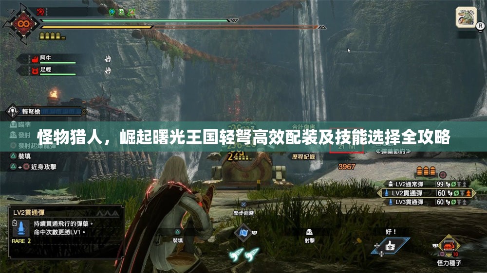 怪物猎人，崛起曙光王国轻弩高效配装及技能选择全攻略