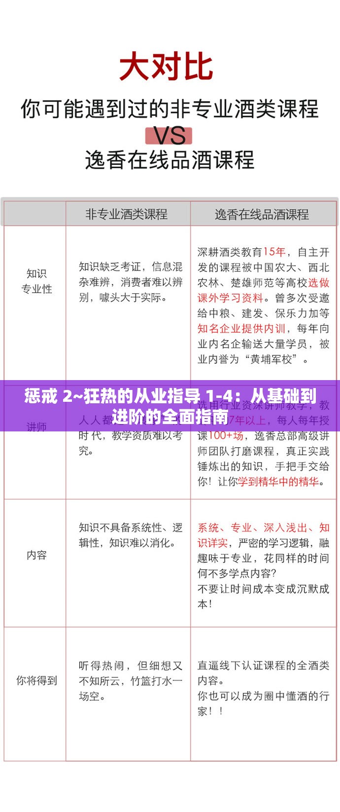 惩戒 2~狂热的从业指导 1-4：从基础到进阶的全面指南