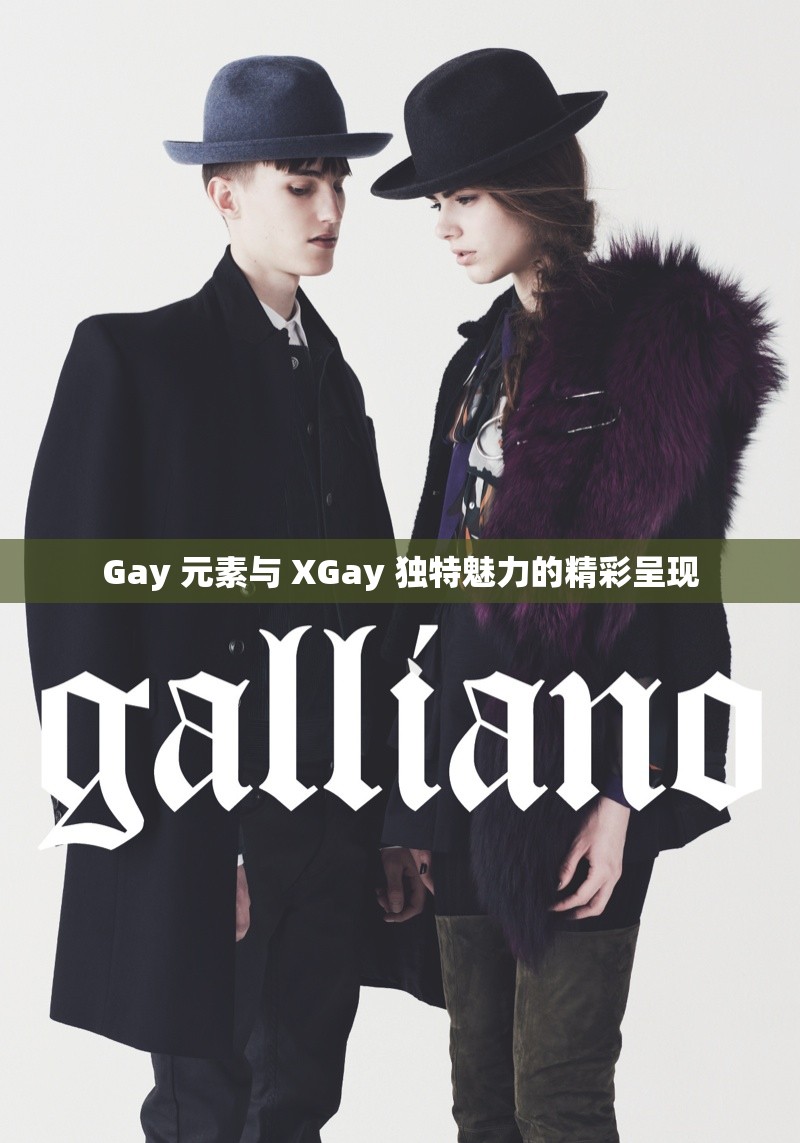 Gay 元素与 XGay 独特魅力的精彩呈现