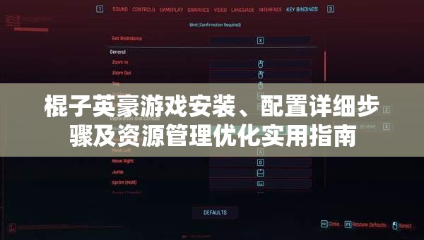 棍子英豪游戏安装、配置详细步骤及资源管理优化实用指南