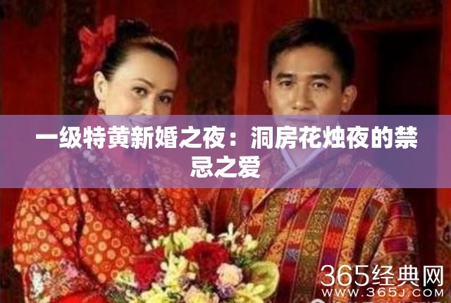 一级特黄新婚之夜：洞房花烛夜的禁忌之爱