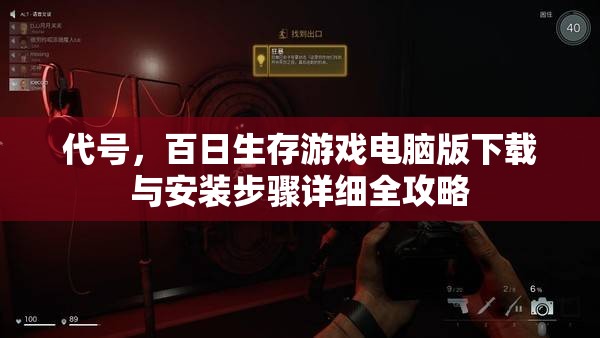 代号，百日生存游戏电脑版下载与安装步骤详细全攻略