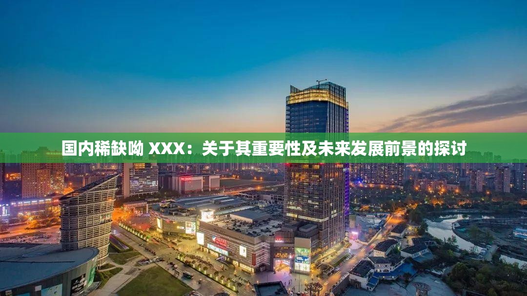 国内稀缺呦 XXX：关于其重要性及未来发展前景的探讨