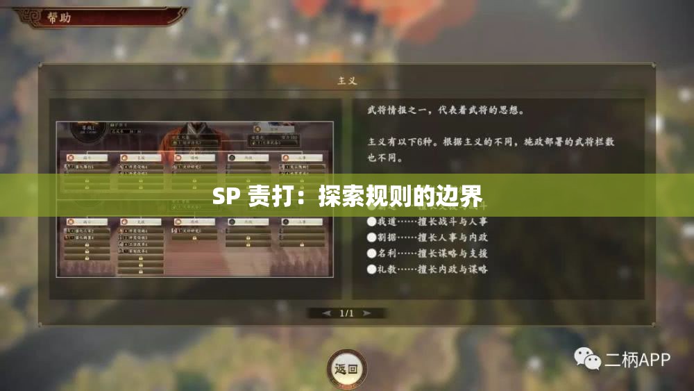 SP 责打：探索规则的边界