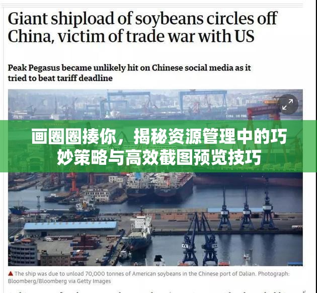 画圈圈揍你，揭秘资源管理中的巧妙策略与高效截图预览技巧