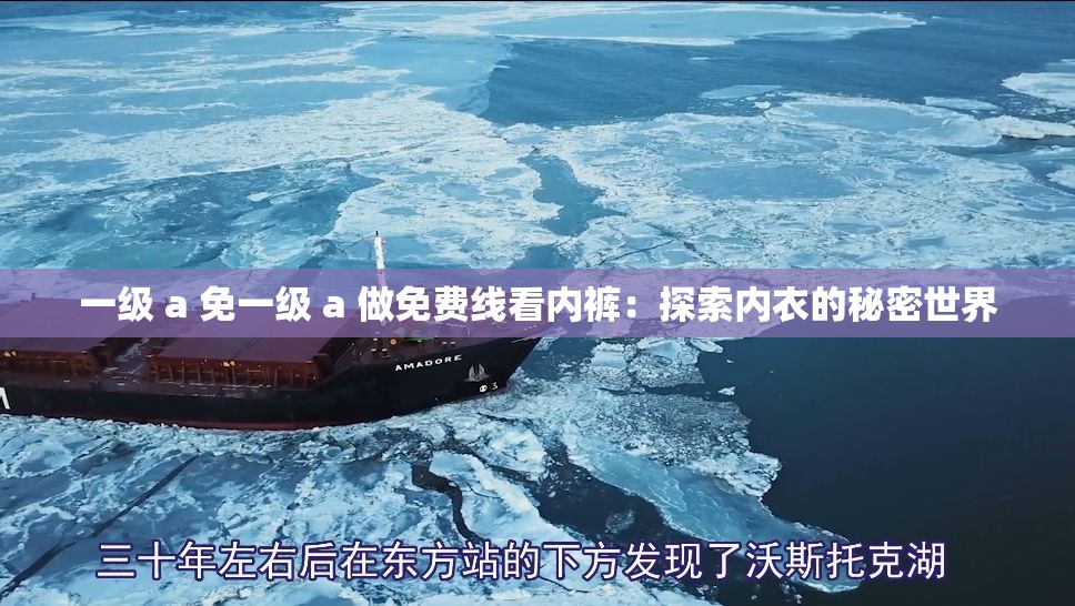 一级 a 免一级 a 做免费线看内裤：探索内衣的秘密世界