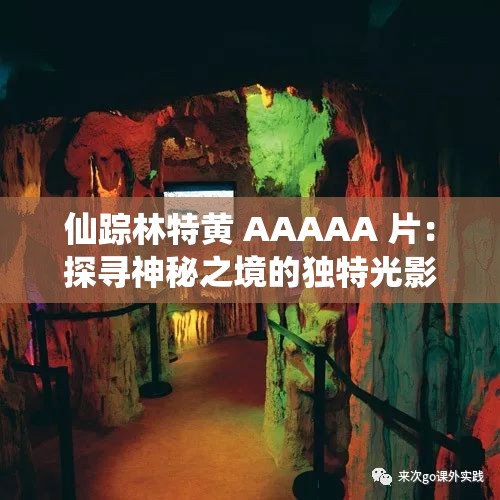 仙踪林特黄 AAAAA 片：探寻神秘之境的独特光影