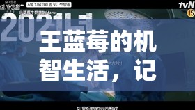 王蓝莓的机智生活，记录捧腹瞬间，引发对生活深思的趣味片段