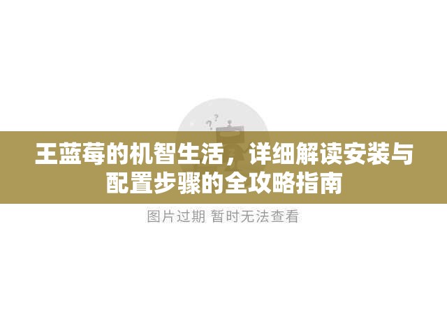 王蓝莓的机智生活，详细解读安装与配置步骤的全攻略指南