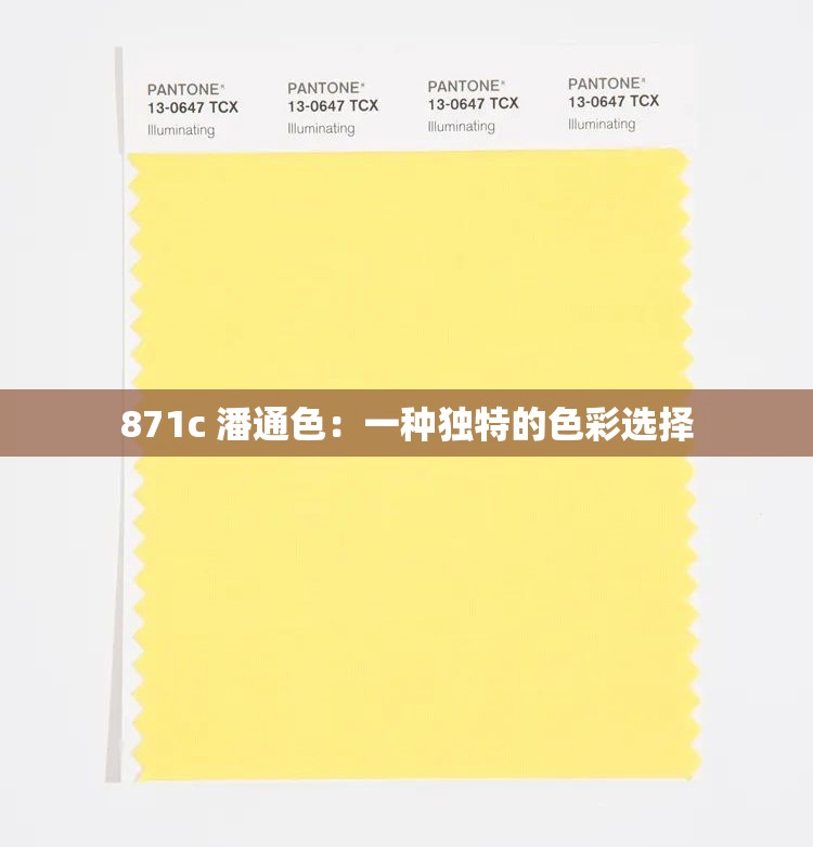 871c 潘通色：一种独特的色彩选择