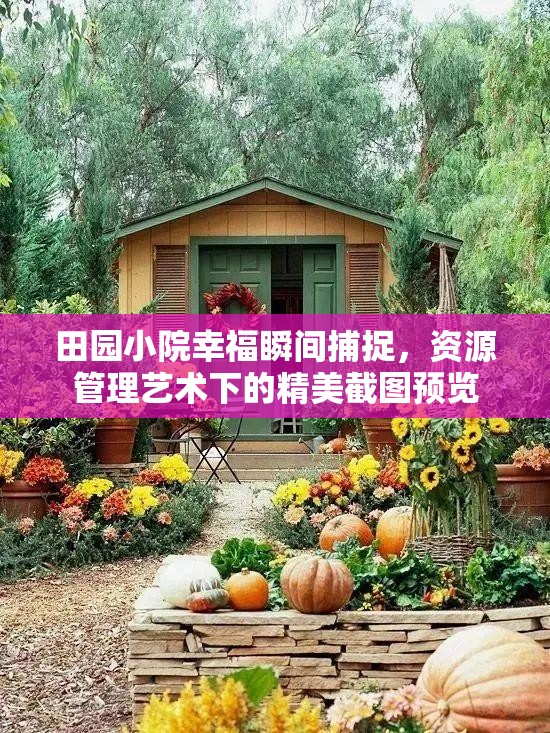 田园小院幸福瞬间捕捉，资源管理艺术下的精美截图预览