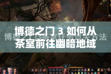 博德之门 3 如何从茶室前往幽暗地域的详细攻略及要点分析