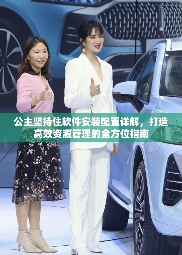 公主坚持住软件安装配置详解，打造高效资源管理的全方位指南