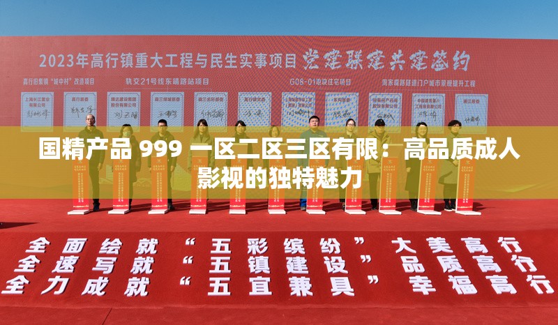 国精产品 999 一区二区三区有限：高品质成人影视的独特魅力