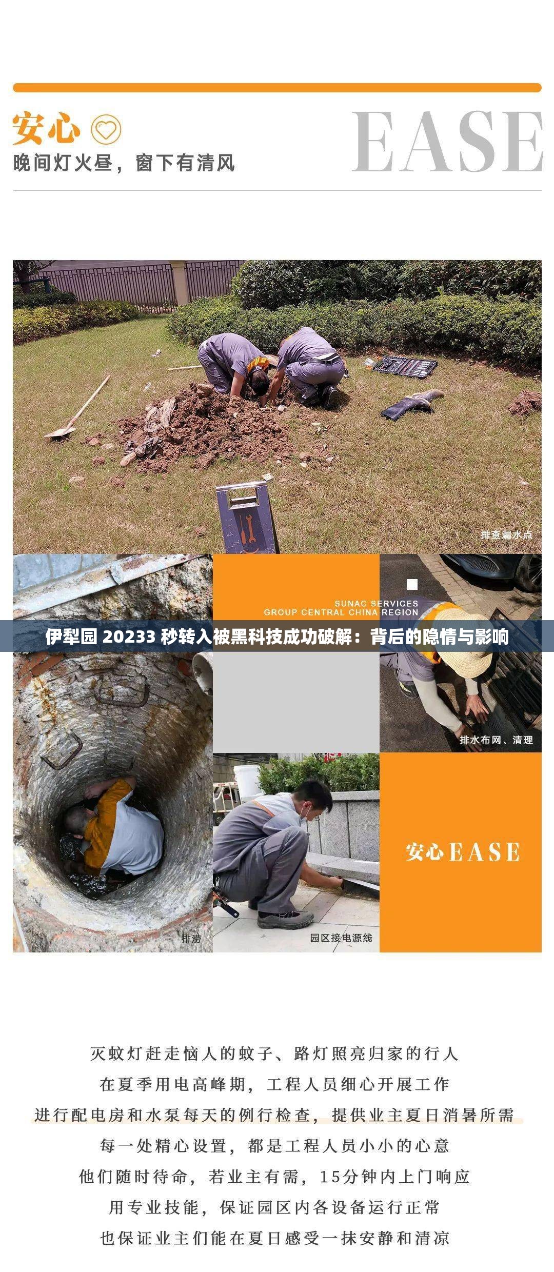 伊犁园 20233 秒转入被黑科技成功破解：背后的隐情与影响